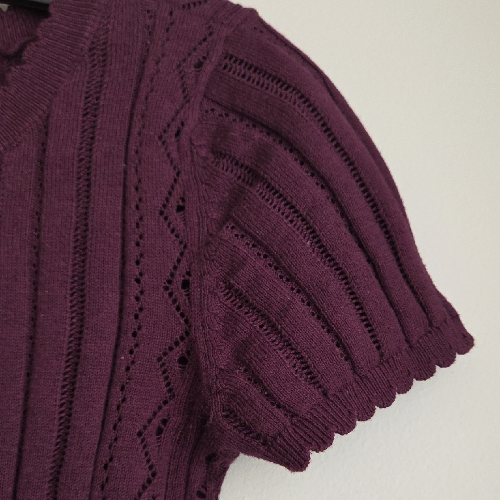Fine Pointelle NWT Crochet Cotton Henley Sweater AEOT Shirt Deep Plum XXS